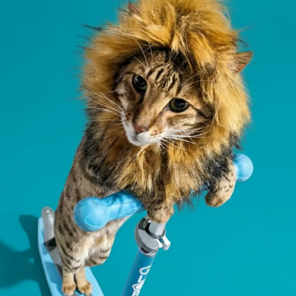 Cat-PixTeller